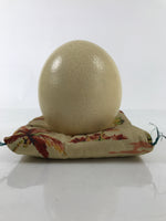 African Decorative Souvenir Ostrich Eggshell Only Vtg Blank Surface Pillow ST12