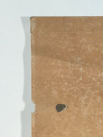 Antique Japanese Hanging Scroll Kakejiku Bird Flower Painting Kacho Color KJ186