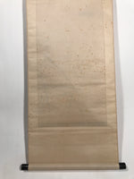 Antique Japanese Hanging Scroll Kakejiku Flying Bird Plover Fall Color KJ190