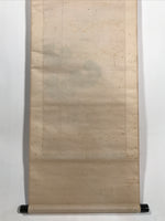 Antique Japanese Hanging Scroll Kakejiku Leopard Plant Bird Green Yellow KJ189