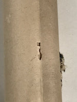 Antique Japanese Hanging Scroll Kakejiku Leopard Plant Bird Green Yellow KJ189