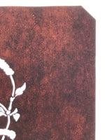 Antique Japanese Katagami Paper Kimono Stencil Chenille Plant Benihimonoki A801