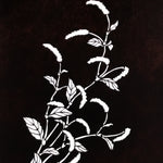 Antique Japanese Katagami Paper Kimono Stencil Chenille Plant Benihimonoki A801