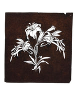 Antique Japanese Katagami Paper Kimono Stencil Katazome Lily Flowers Yuri A808