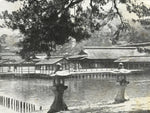 Antique Japanese Postcard Itsukushima Shrine C1920 View From Matsuhara BW PC138