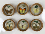 Japanese Bamboo Drink Saucer Chataku Vtg Coaster 6pc Carry Holder Butterfly L137