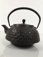 Japanese Cast Iron Tetsubin Kettle Teapot Vtg Tea Ceremony Nanbu Tekki T169