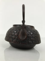 Japanese Cast Iron Tetsubin Kettle Teapot Vtg Tea Ceremony Nanbu Tekki T169