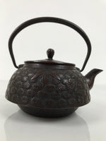 Japanese Cast Iron Tetsubin Kettle Teapot Vtg Tea Ceremony Nanbu Tekki T169