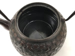 Japanese Cast Iron Tetsubin Kettle Teapot Vtg Tea Ceremony Nanbu Tekki T169