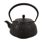 Japanese Cast Iron Tetsubin Kettle Teapot Vtg Tea Ceremony Nanbu Tekki T169