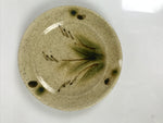 Japanese Ceramic Small Plate Mamezara Side Dish Vtg Beige Green Plants Y464