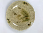 Japanese Ceramic Small Plate Mamezara Side Dish Vtg Beige Green Plants Y466