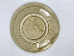 Japanese Ceramic Small Plate Mamezara Side Dish Vtg Beige Green Plants Y466