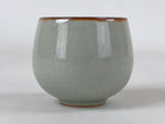 Japanese Ceramic Teacup Vtg Iris Flower Crackle Glaze White Yunomi Sencha TC405