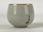 Japanese Ceramic Teacup Vtg Iris Flower Crackle Glaze White Yunomi Sencha TC407