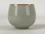 Japanese Ceramic Teacup Vtg Iris Flower Crackle Glaze White Yunomi Sencha TC407