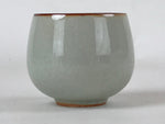 Japanese Ceramic Teacup Vtg Iris Flower Crackle Glaze White Yunomi Sencha TC409