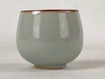Japanese Ceramic Teacup Vtg Iris Flower Crackle Glaze White Yunomi Sencha TC410