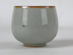 Japanese Ceramic Teacup Vtg Iris Flower Crackle Glaze White Yunomi Sencha TC411
