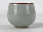 Japanese Ceramic Teacup Vtg Iris Flower Crackle Glaze White Yunomi Sencha TC414