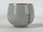 Japanese Ceramic Teacup Vtg Iris Flower Crackle Glaze White Yunomi Sencha TC415