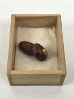 Japanese Handcarved Soramame Beans Obidome Vtg Netsuke Boxwood Brown Boxed SP2