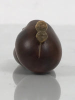 Japanese Handcarved Soramame Beans Obidome Vtg Netsuke Boxwood Brown Boxed SP2