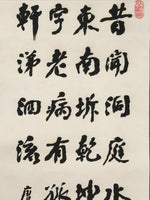 Japanese Hanging Scroll Kakejiku Vtg Calligraphy Kanshi Poem Du Fu Black KJ174