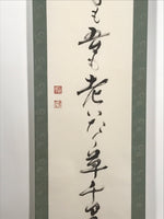 Japanese Hanging Scroll Kakejiku Vtg Haiku Poem Calligraphy Black Green KJ183
