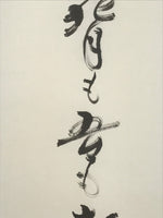 Japanese Hanging Scroll Kakejiku Vtg Haiku Poem Calligraphy Black Green KJ183