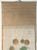 Japanese Hanging Scroll Kakejiku Vtg Still Life Fruits Pear Grapes Color KJ167
