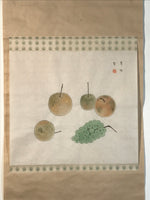 Japanese Hanging Scroll Kakejiku Vtg Still Life Fruits Pear Grapes Color KJ167