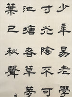 Japanese Hanging Scroll Vtg Kakejiku Zhu Xi Kanshi Calligraphy Poem Black KJ173