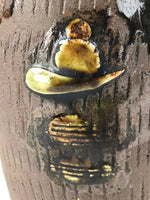 Japanese Sake Bottle Ceramic Tokkuri Vtg Tropical Village Palm Tree Brown TS602