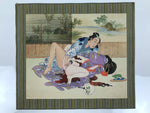 Japanese Shunga Art Vtg Handpainted Silk Kimono Garden Summer FL507