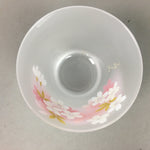Japanese Glass Teacup Saucer Set Vtg Sakura Yunomi Coaster Cold Tea Sencha QT77